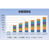 阜阳如何防止SEO关键词排名下降